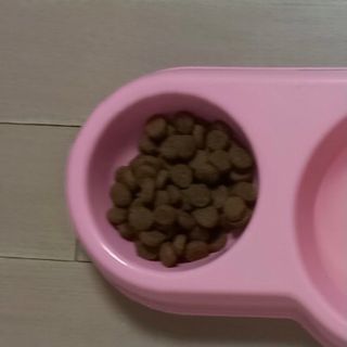 후루룩님이 올린 리뷰 사진 3