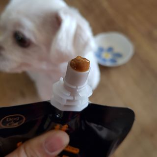 엘비스님이 올린 리뷰 사진 3