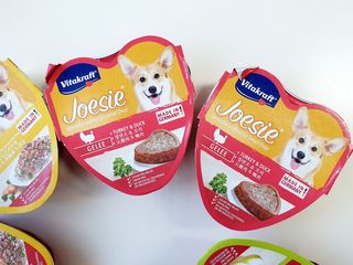 비타크래프트 조에시 하트캔 85g 강아지 습식캔 10캔 — 5점을 준 리뷰어가 2021년 7월 올린 사용 사진