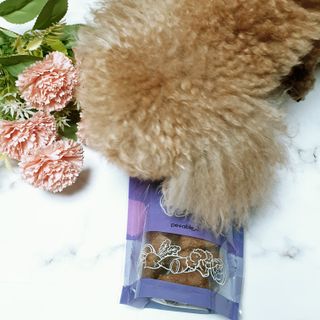 펫에이블 데일리바이트 키토 [비프], [치킨] — 5점을 준 리뷰어가 2021년 8월 올린 사용 사진