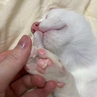 랴님이 올린 리뷰 사진 3