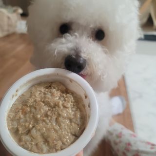 ❤꼬네우니🧡님이 올린 리뷰 사진 1