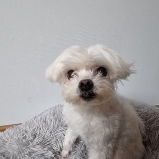 리니님이 올린 리뷰 사진 3