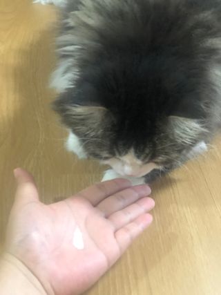 천상집사님이 올린 리뷰 사진 1