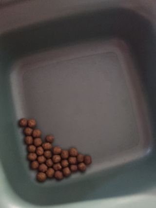 메리고님이 올린 리뷰 사진 2