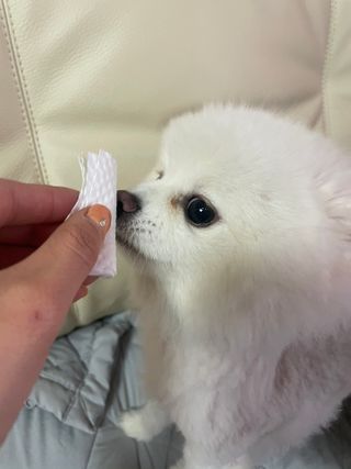 어거스트비님이 올린 리뷰 사진 1