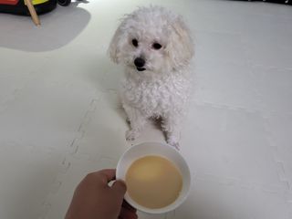 주여니이님이 올린 리뷰 사진 4