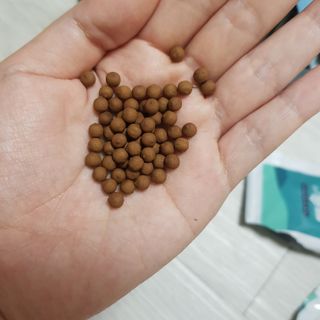 十二夜님이 올린 리뷰 사진 3