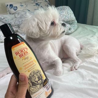 bongdam님이 올린 리뷰 사진 1