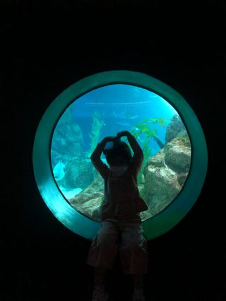 타조님이 올린 리뷰 사진 1