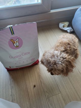 밍카님이 올린 리뷰 사진 2