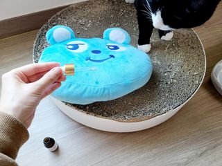 채원님이 올린 리뷰 사진 4