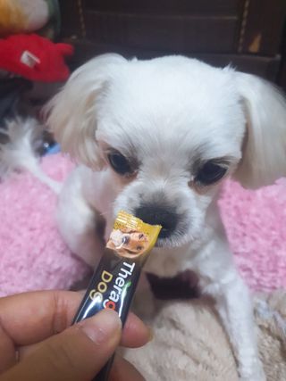 미진냥님이 올린 리뷰 사진 1