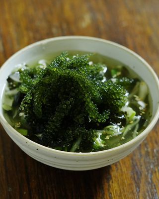 [피터씨마켓] 바다포도 100g(20g x 5봉) 우미부도 그린캐비어 ASMR 소분포장 — 5점을 준 리뷰어가 2024년 8월 올린 사용 사진