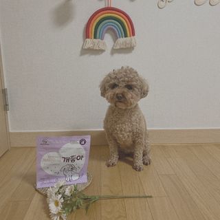 우주님이 올린 리뷰 사진 1