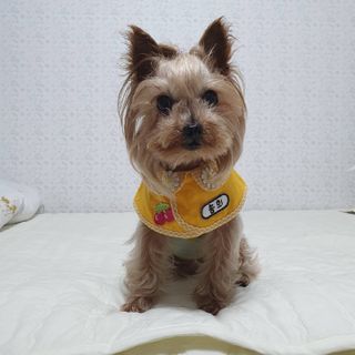솜희님이 올린 리뷰 사진 3