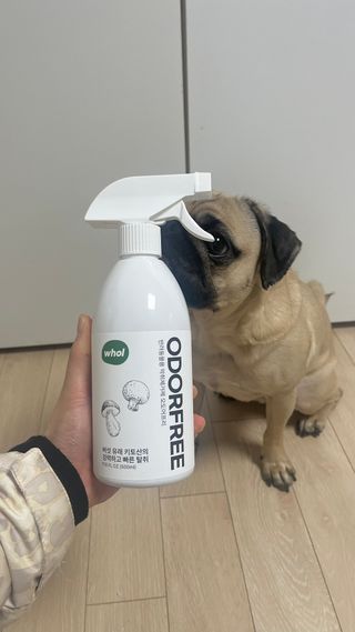 은때님이 올린 리뷰 사진 1