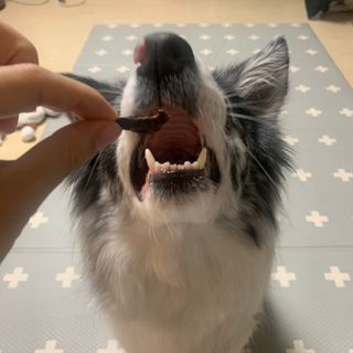 오니오니님이 올린 리뷰 사진 3