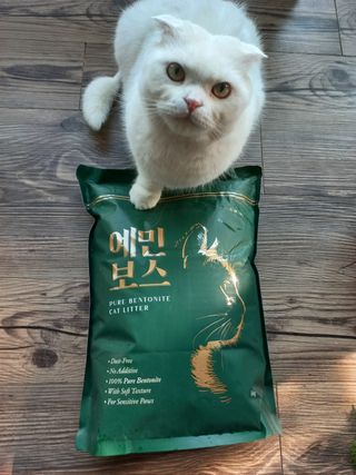 좋아님이 올린 리뷰 사진 2