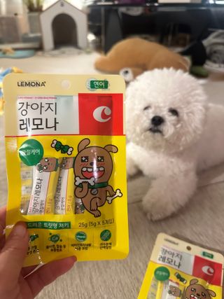 꽁지님이 올린 리뷰 사진 2