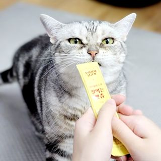 페페로니 잘 먹는 캣츄 - 무항생제 닭고기 24개입 — 5점을 준 리뷰어가 2021년 7월 올린 사용 사진