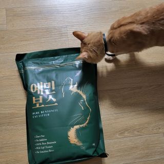 수경이야님이 올린 리뷰 사진 1