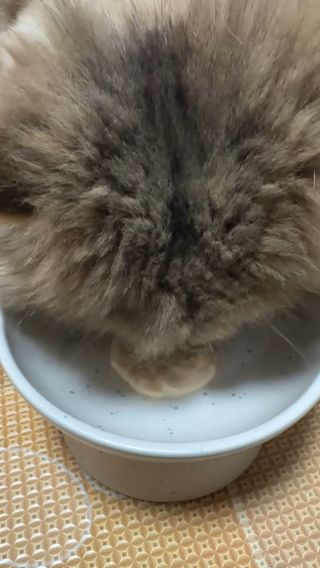 하린님이 올린 리뷰 사진 2