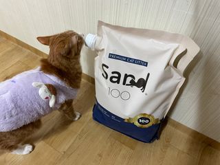 라미라미님이 올린 리뷰 사진 2