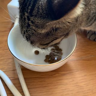 시리꽃님이 올린 리뷰 사진 2