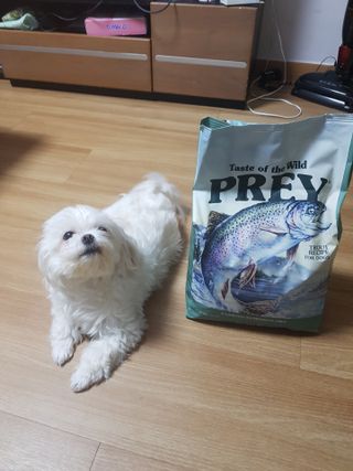 김고양이님이 올린 리뷰 사진 1