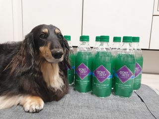몽베스트 Montbest with Sparkling water Plain 20병 — 5점을 준 리뷰어가 2021년 11월 올린 사용 사진
