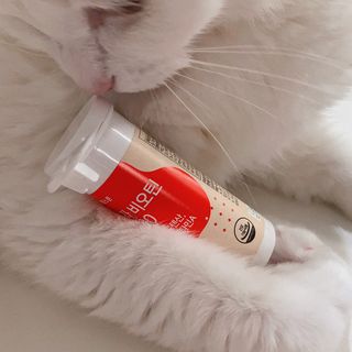 ㄹ진님이 올린 리뷰 사진 2