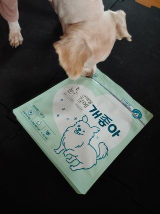 이주현님이 올린 리뷰 사진 4