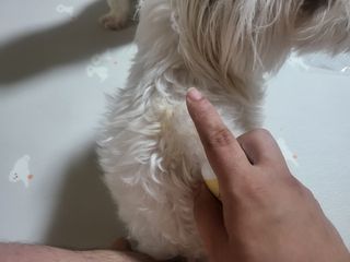 공팔리터님이 올린 리뷰 사진 3