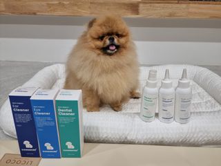 [댕모어 클리너 3종] 아이클리너 / 이어클리너 / 덴탈클리너 3종 세트 (120ml) — 5점을 준 리뷰어가 2023년 9월 올린 사용 사진