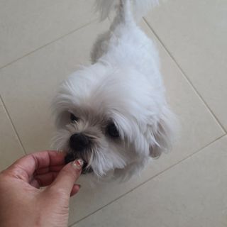 미진냥님이 올린 리뷰 사진 1