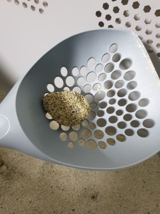 행운의집 실키식스 9kg 크린 언씬티드 프리미엄 고양이모래 — 5점을 준 리뷰어가 2021년 3월 올린 사용 사진