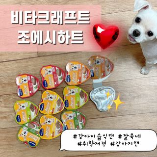 비타크래프트 조에시 하트캔 85g 강아지 습식캔 10캔 — 5점을 준 리뷰어가 2021년 9월 올린 사용 사진