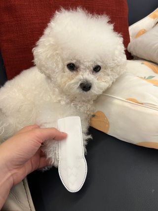 소미님이 올린 리뷰 사진 3