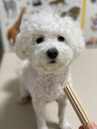 민님이 올린 리뷰 사진 2