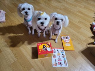 광동생활건강 [제니에디션] 비타500데일리스틱 gift set 60포+제니굿즈 3종+쇼핑백 — 4점을 준 리뷰어가 2021년 11월 올린 사용 사진