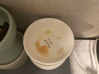 뽀송님이 올린 리뷰 사진 3