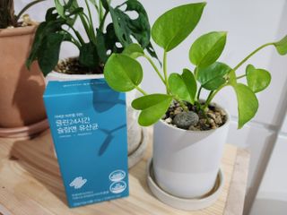 클린24시간 슬림앤유산균 1박스 (3.5g X 15포) — 5점을 준 리뷰어가 2023년 1월 올린 사용 사진