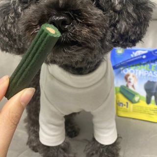 코랑이님이 올린 리뷰 사진 1