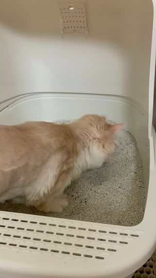 태공주님이 올린 리뷰 사진 4