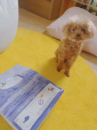캐닌캐비어 알카라인 홀리스틱 그레이프리 앙뜨레 ALS_4종 오픈스카이, 와일드오션, 프리스피릿, 스페셜니즈 — 5점을 준 리뷰어가 2023년 3월 올린 사용 사진