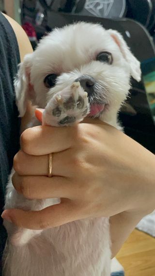Mini님이 올린 리뷰 사진 1
