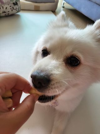 블리블리♡은블리♡님이 올린 리뷰 사진 4