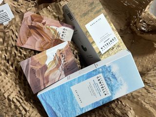 [스킨1004] 마다가스카르 센텔라 앰플 100ml — 5점을 준 리뷰어가 2024년 6월 올린 사용 사진