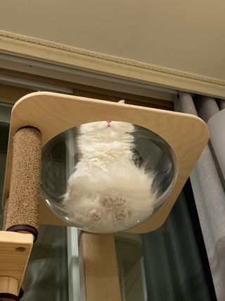 례진님이 올린 리뷰 사진 3